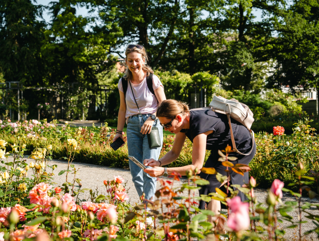 Rosengarten in Bern