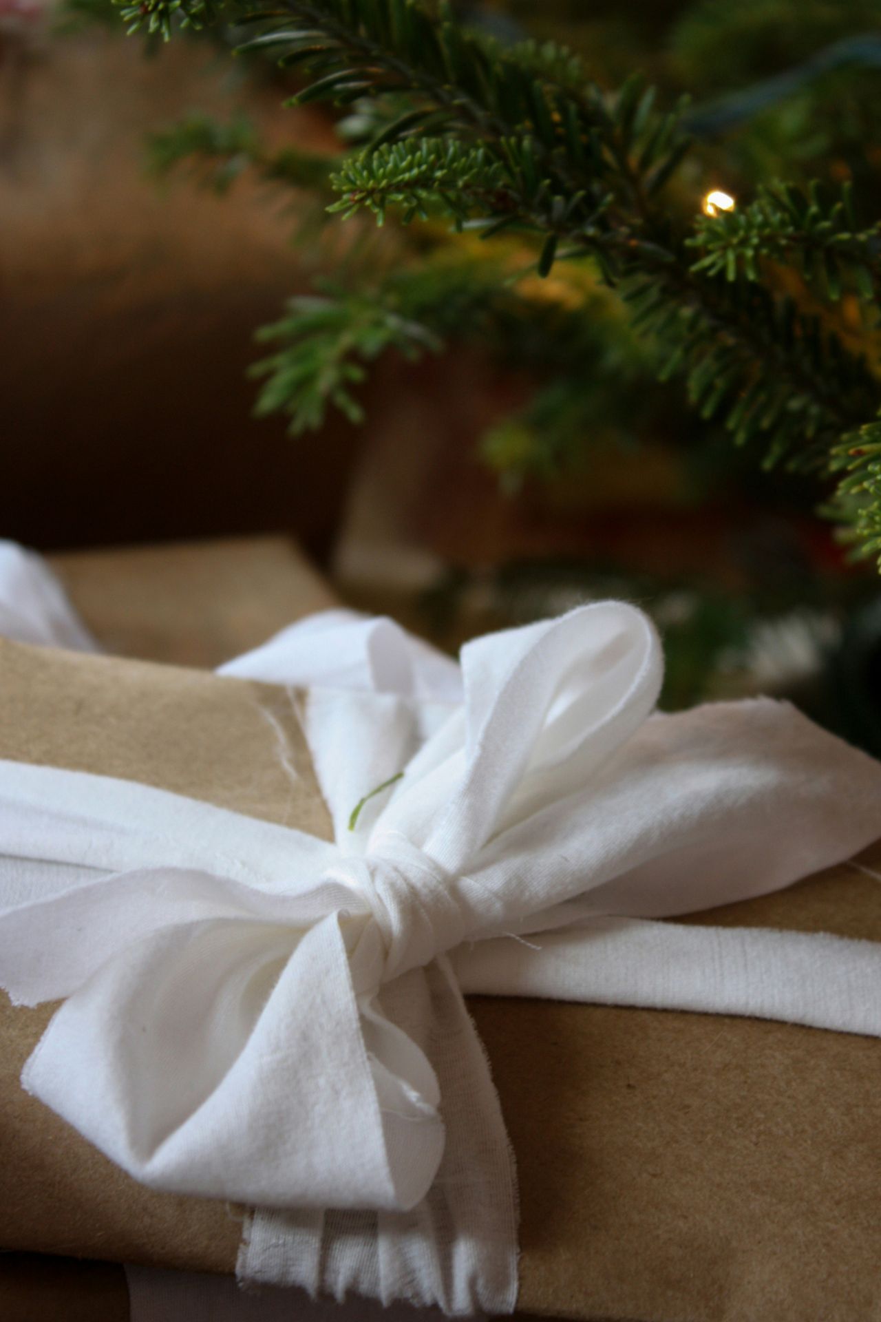 Weihnachtsgeschenk in braunem Papier und mit weißer Schleif verpackt, Tannenzweig im Hintergrund