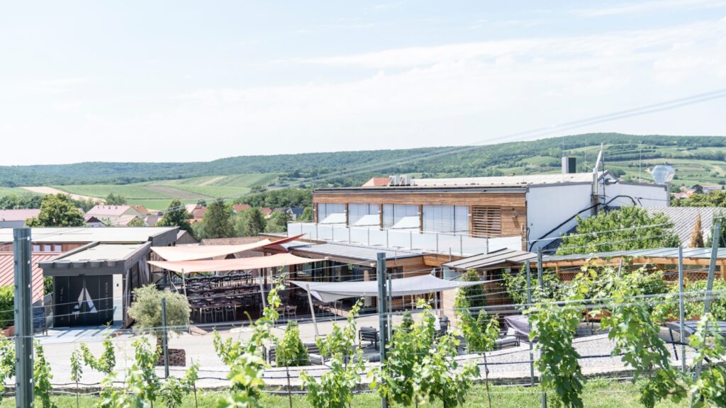 Weindomizil Hagn