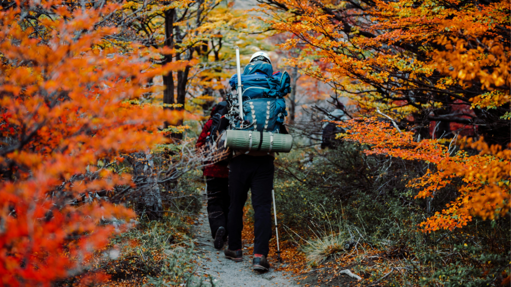 Wanderung im Herbst