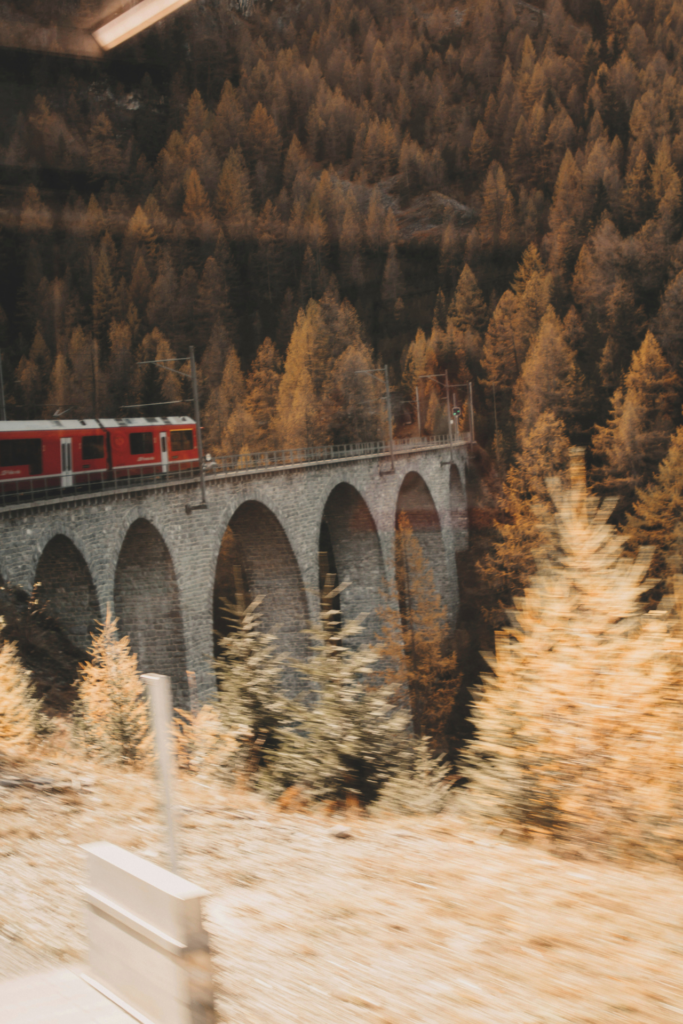 Zug fährt auf einer herbstlichen Brücke