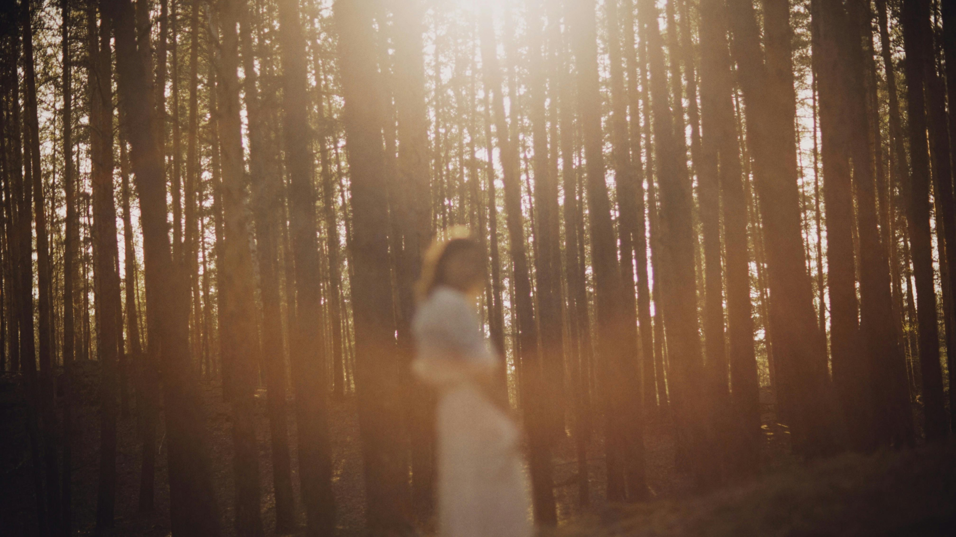 Eine verschwommene Silhouette einer Frau im Wald mit Sonnenstrahlen