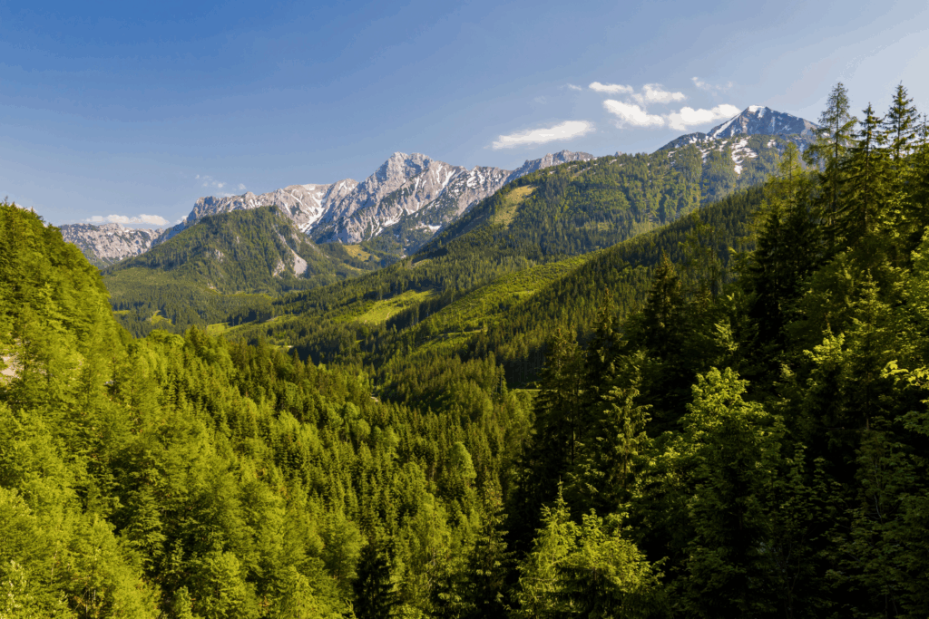 Hidden Gems in Österreich